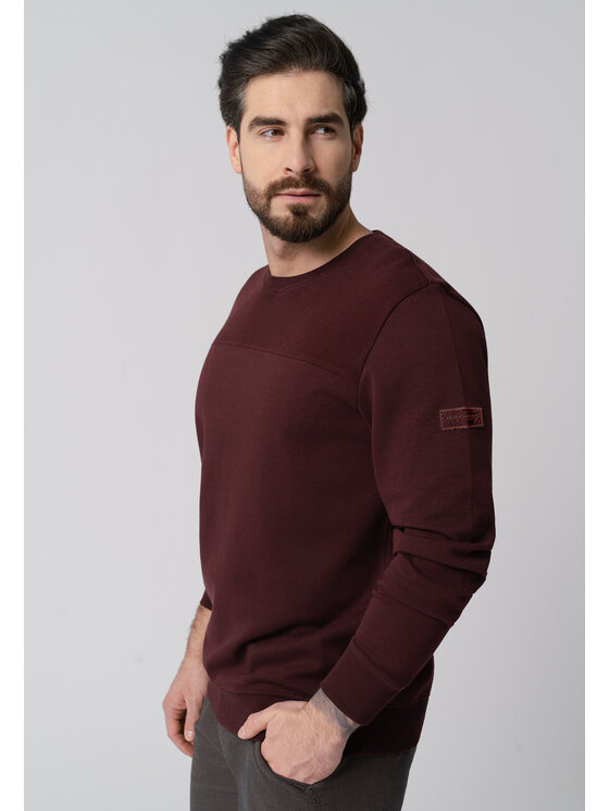 Volcano Volcano Bluza B-LEO Fioletowy Regular Fit