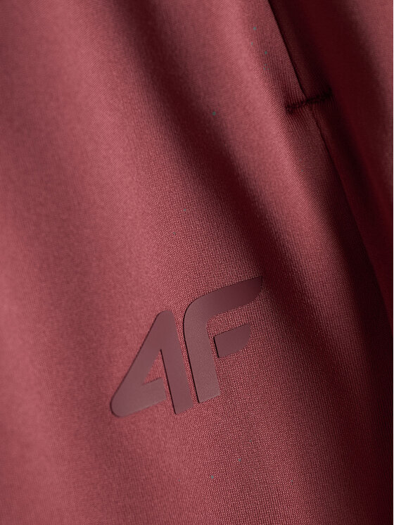 4F 4F Spodnie dresowe BASIC+ Brązowy jasny Regular Fit