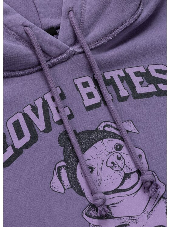 PITBULL PITBULL Bluza LOVIA LOVE BITES Fioletowy Regular Fit