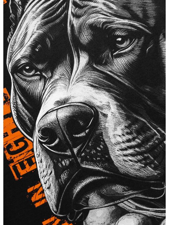 PITBULL PITBULL T-Shirt BLACKY Czarny Regular Fit