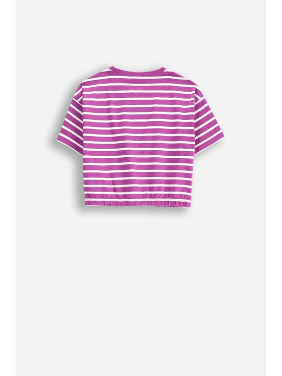 Coccodrillo Coccodrillo T-Shirt WC5143202RGJ-016 Fioletowy Regular Fit