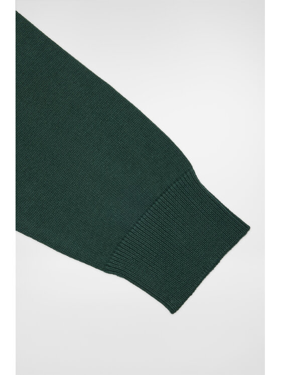 Próchnik Próchnik Sweter PM7 SW073224000003 Zielony Regular Fit