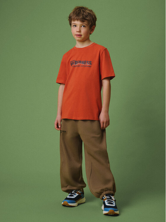 4F 4F T-Shirt ENJOY THE OUTDOORS Pomarańczowy Regular Fit