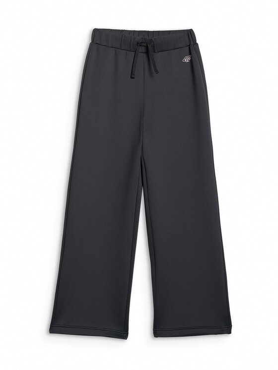 4F 4F Spodnie dresowe JOY MOTION Czarny Regular Fit