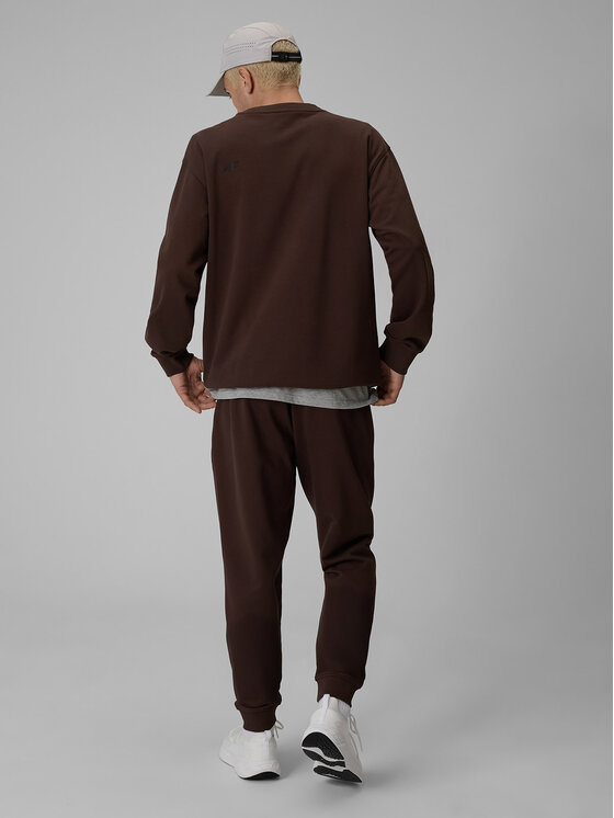 4F 4F Spodnie dresowe BASIC+ Brązowy Regular Fit