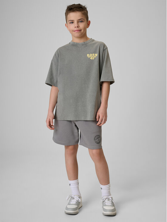 4F 4F T-Shirt WAVE RIDERS CLUB Szary Loose Fit