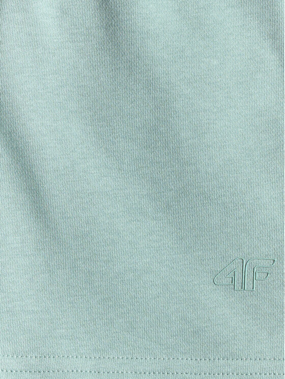 4F 4F Szorty sportowe BASIC+ Turkusowy Regular Fit