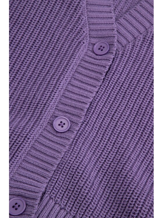 Coccodrillo Coccodrillo Svetr WC6172206CSG-016 Fialová Regular Fit