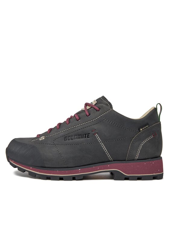Dolomite Dolomite Pārgājienu apavi W'S 54 Low Fg Evo Gtx GORE-TEX 292534 Pelēks