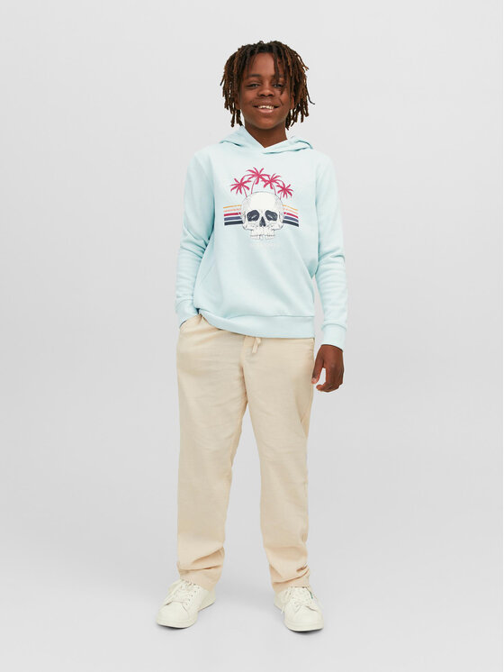 Jack & Jones Junior Jack & Jones Junior Bluza 12239455 Niebieski Regular Fit