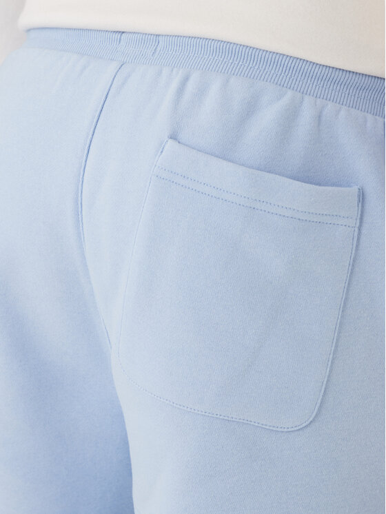 Tommy Jeans Tommy Jeans Stoffshorts DM0DM21931 Blau Regular Fit