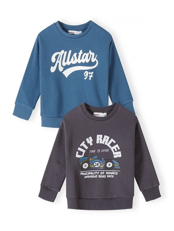 minoti minoti Bluza 33FLEECE200 Kolorowy Regular Fit