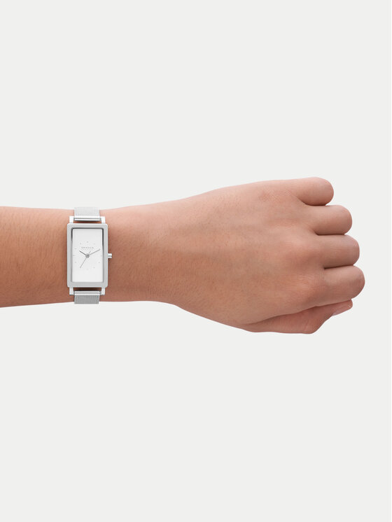 Skagen Skagen Orologio Hagen SKW3096 Argento