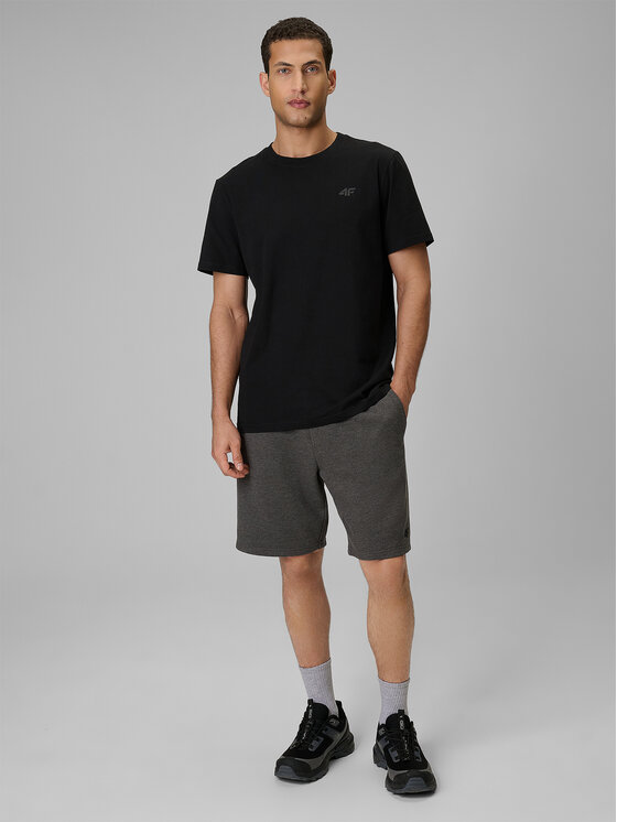4F 4F Szorty sportowe BASIC+ Szary ciemny Regular Fit
