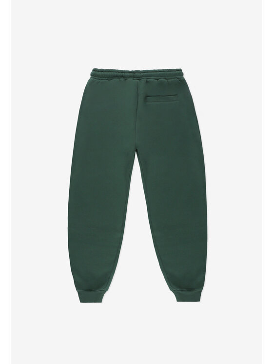 PROSTO. PROSTO. Spodnie dresowe Darn Zielony Regular Fit