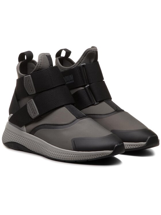 palladium amphibian