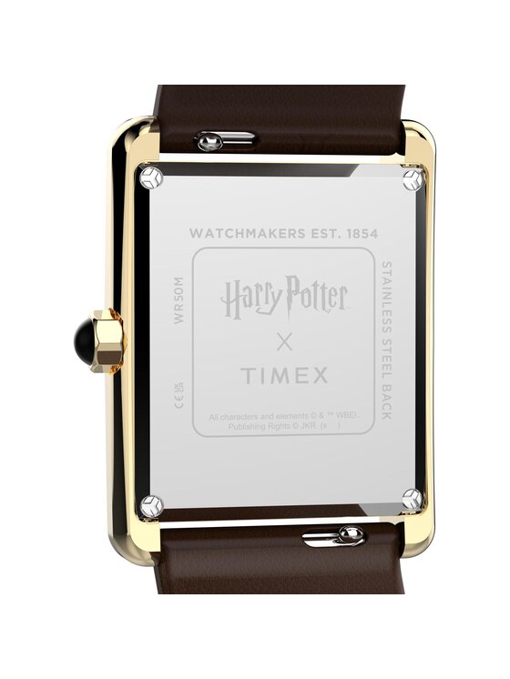 Timex Timex Hodinky TW2Y75700 Hnedá