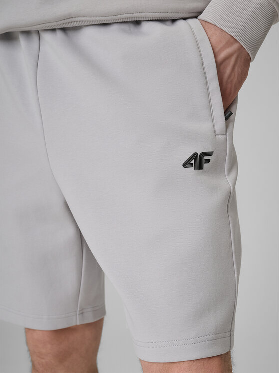 4F 4F Szorty sportowe COMMERCIAL 3 Szary jasny Regular Fit