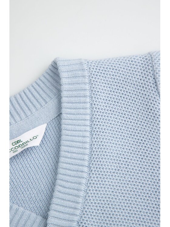 Coccodrillo Coccodrillo Svetr WC6172201EBB-014 Modrá Regular Fit