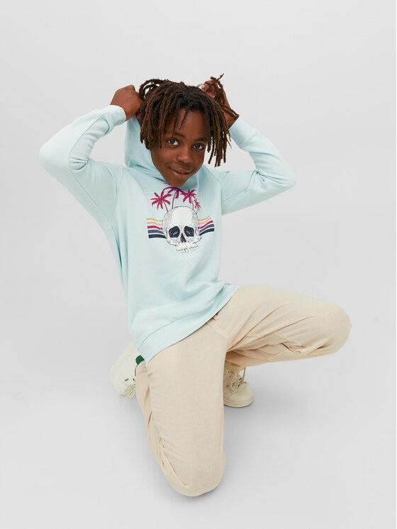 Jack & Jones Junior Jack & Jones Junior Bluza 12239455 Niebieski Regular Fit
