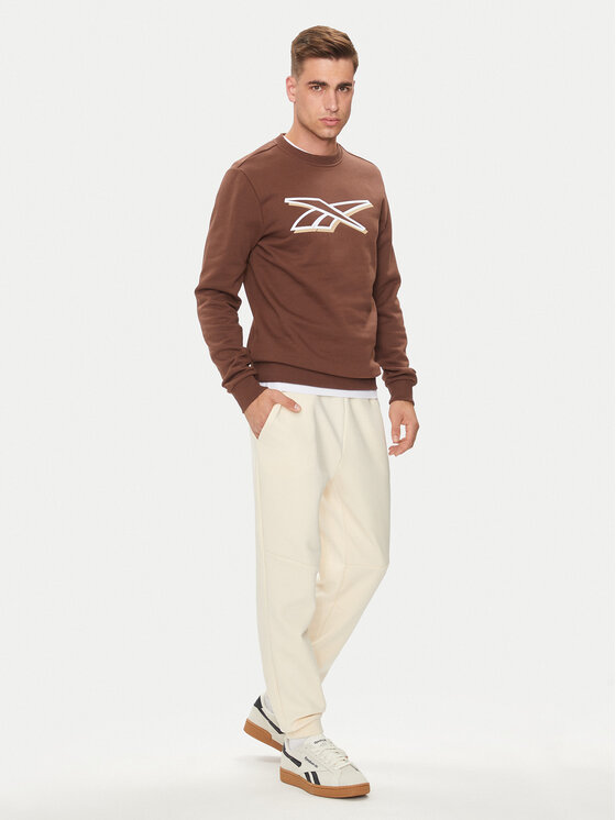 Reebok Reebok Bluza Vector Logo 100202412 Brązowy Regular Fit