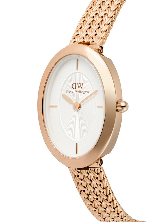 Daniel Wellington Daniel Wellington Hodinky DW00100883 Zlatá