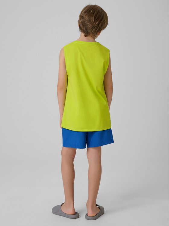 4F 4F Szorty sportowe BEACHSIDE CHILL Zielony Regular Fit