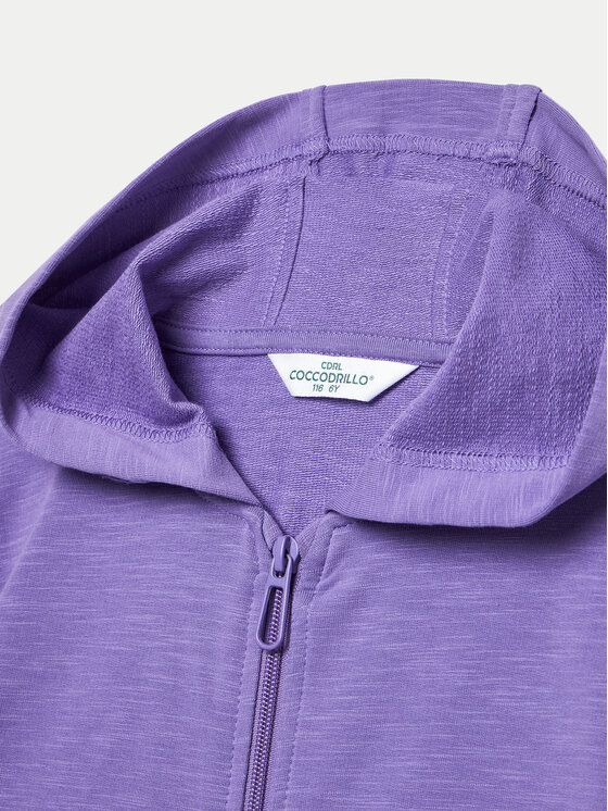 Coccodrillo Coccodrillo Felpa ZC4132401VGA Viola Regular Fit