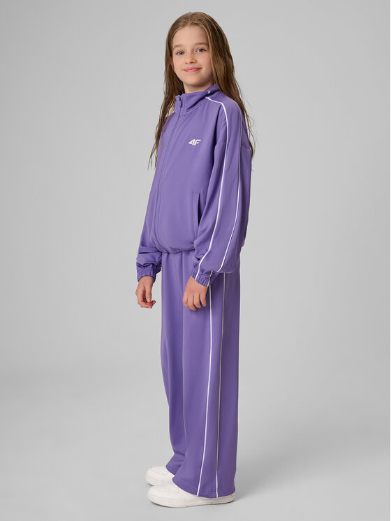4F 4F Spodnie dresowe AQUA FORCE Fioletowy Regular Fit