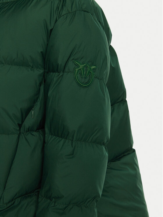 PINKO PINKO Winterjacke 101602 A2P6 Grün Regular Fit