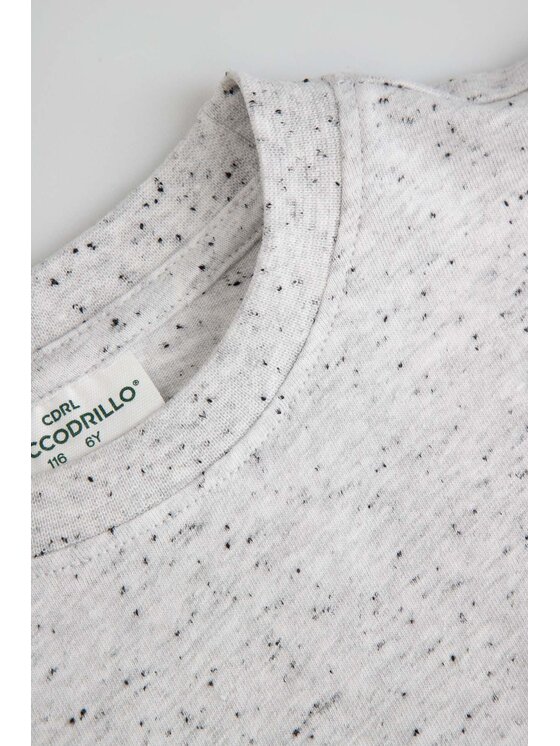 Coccodrillo Coccodrillo Tričko ZC6143203TGK-019 Sivá Regular Fit