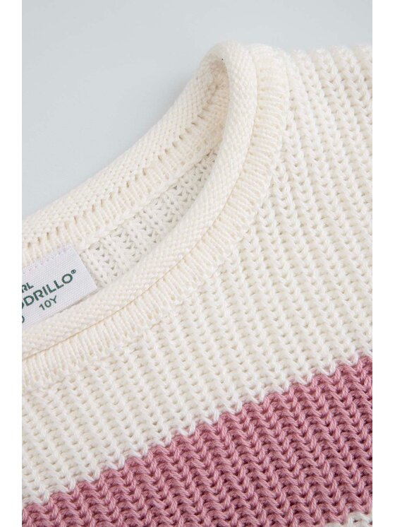 Coccodrillo Coccodrillo Sweter WC6172102CSG-007 Różowy Regular Fit