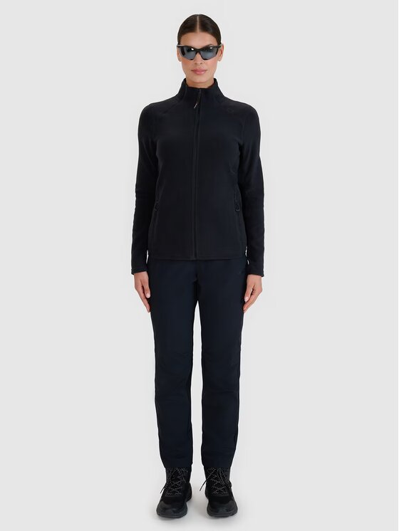 4F 4F Fleecová mikina 4FWSS25TFLEF305-20S Čierna Regular Fit