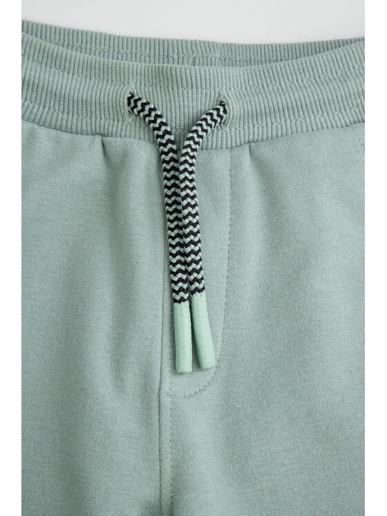 Coccodrillo Coccodrillo Teplákové kalhoty ZC6120101FBN-011 Zelená Regular Fit