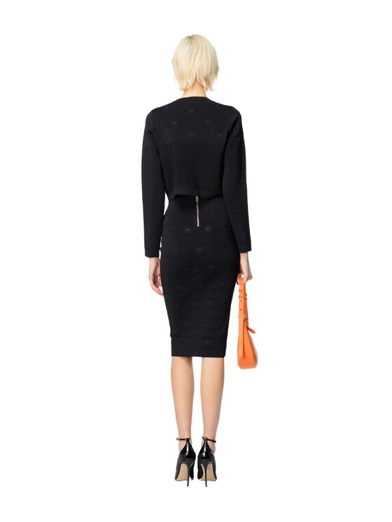 PINKO Pinko Gonna STAPELIA GONNA 102883A1LKZ99 Nero Regular Fit