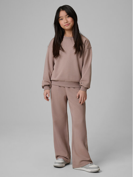 4F 4F Spodnie dresowe BASIC+ Beżowy Regular Fit