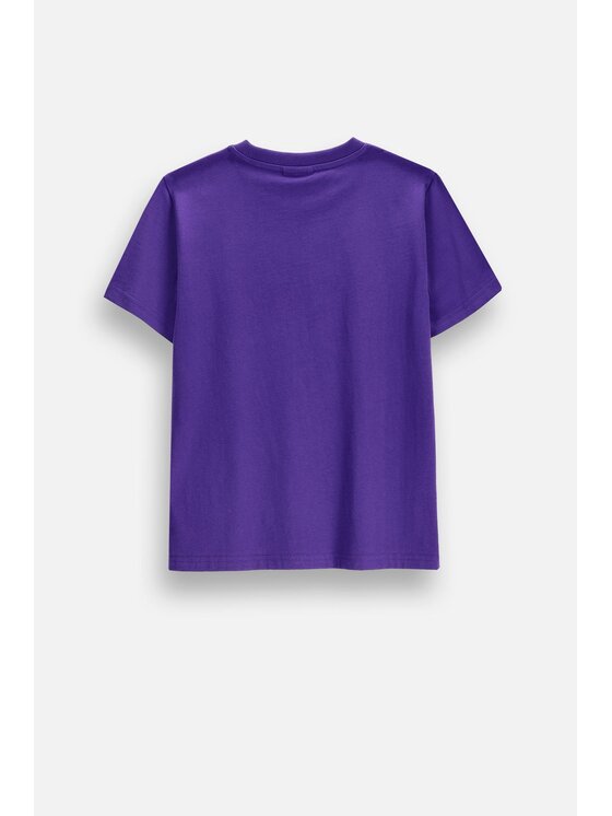 Coccodrillo Coccodrillo T-Shirt ZC6143207VUA-016 Fioletowy Regular Fit
