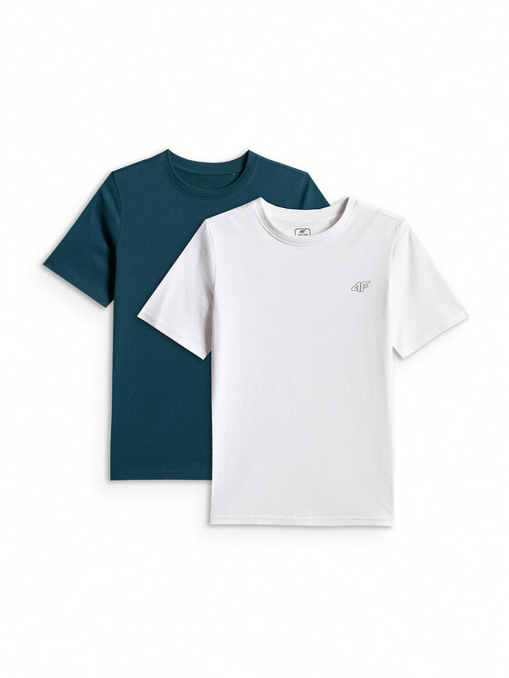 4F 4F T-Shirt BASIC+ Kolorowy Regular Fit