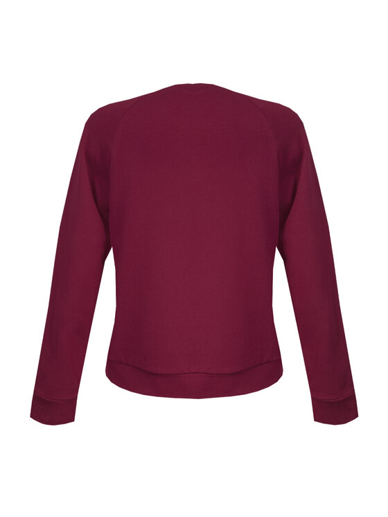 DKaren Sport DKaren Sport Bluza Wenezja Bordowy Slim Fit