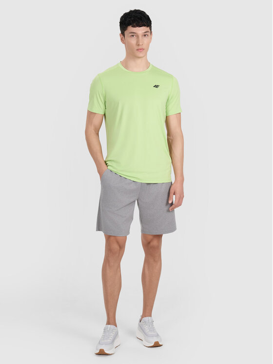 4F 4F Szorty sportowe MULTI ACTIVE Szary Regular Fit