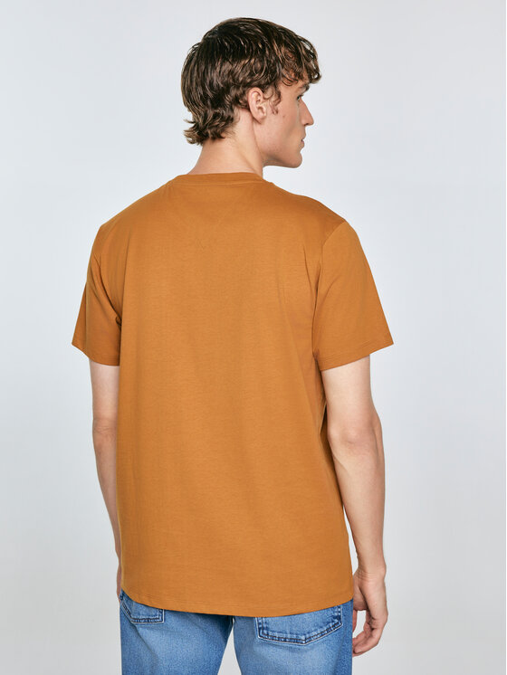BIG STAR BIG STAR T-Shirt CARBON Brązowy Basic Fit