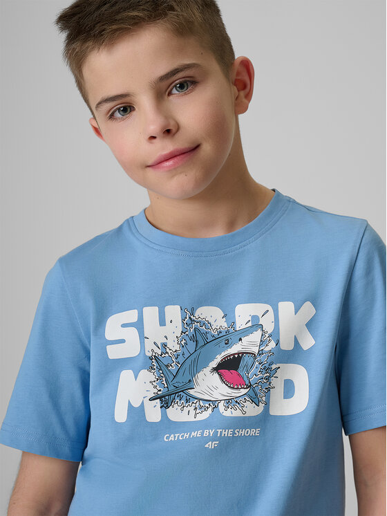 4F 4F T-Shirt WAVE RIDERS CLUB Niebieski Regular Fit