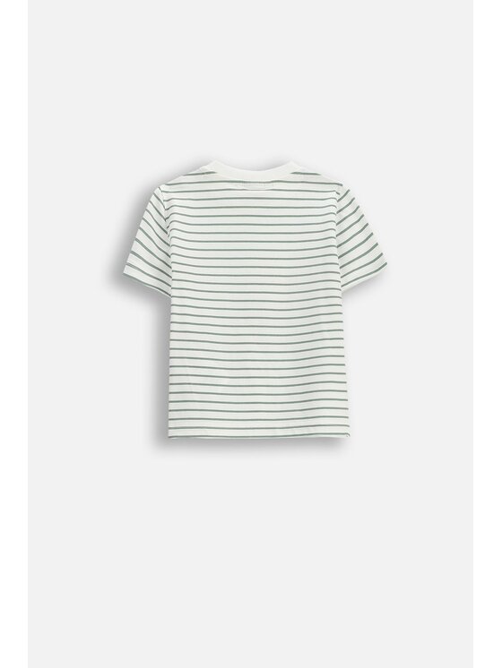 Coccodrillo Coccodrillo T-Shirt WC6143203IBN-003 Kremowy Regular Fit