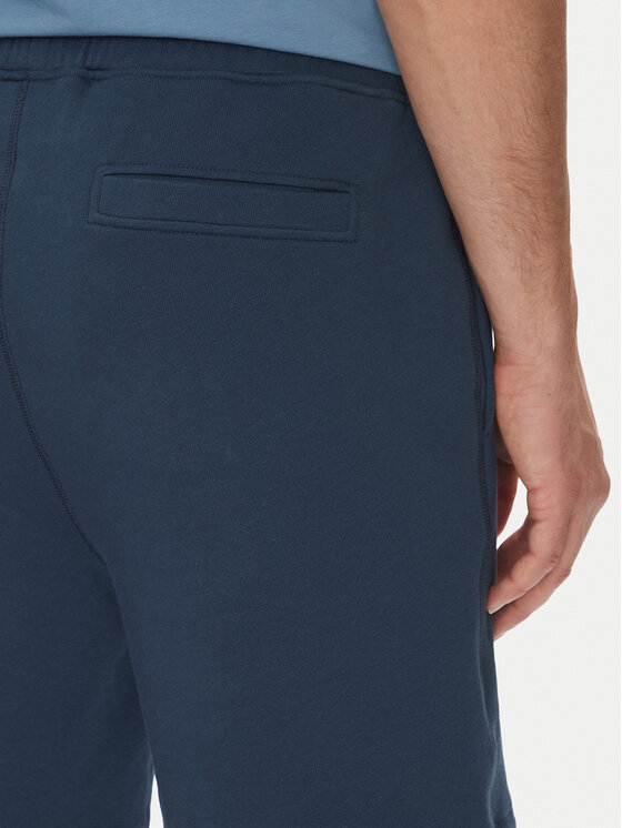 BOSS BOSS Спортивні шорти Sewalk 50511726 Голубий Regular Fit