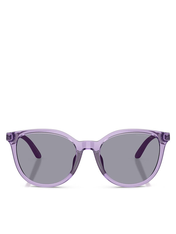 Emporio Armani Emporio Armani Sunčane naočale 0EK4007U 628080 Ljubičasta