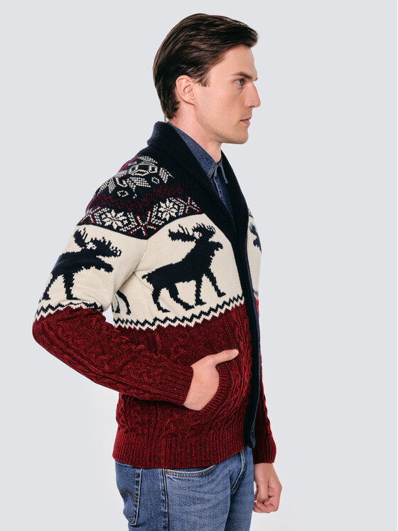 BIG STAR BIG STAR Kardigan LORENZO Kolorowy Basic Fit