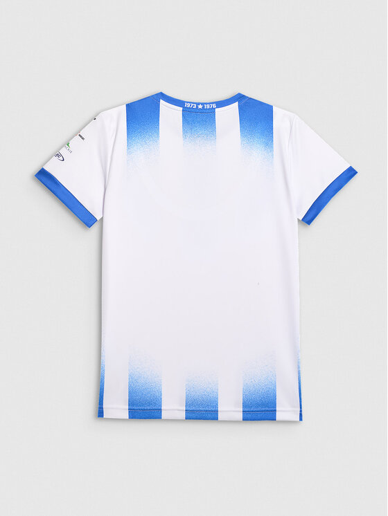 4F 4F Koszulka techniczna TEAMWEAR Kolorowy Regular Fit