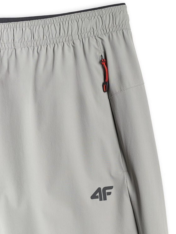 4F 4F Spodnie outdoor TREKKING Szary Regular Fit