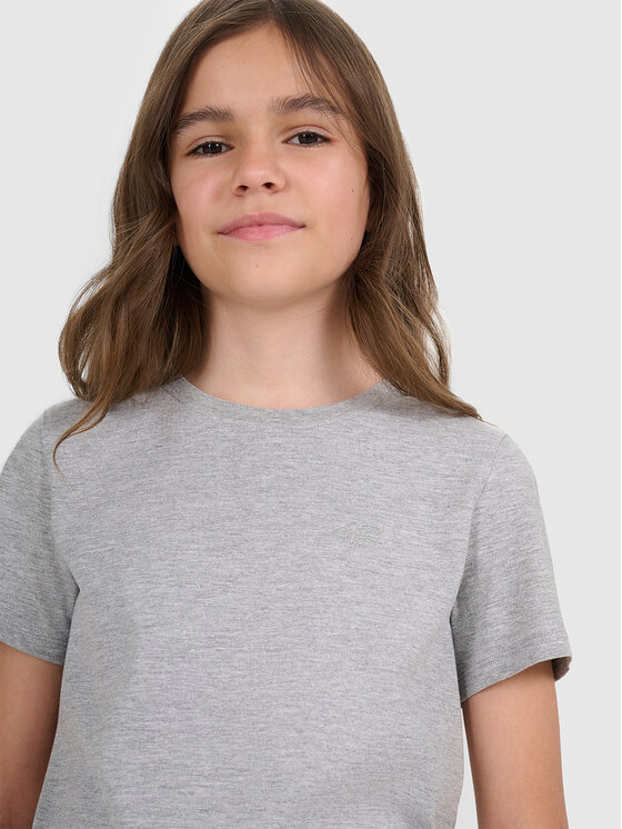 4F 4F T-Shirt BASIC+ Szary Regular Fit