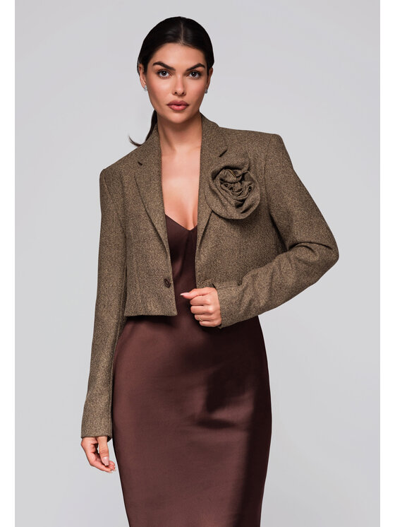 Ombre Ombre Marynarka LW-BLZB-0100 Beżowy Regular Fit